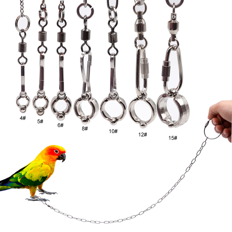 สแตนเลส Parrot ขาแหวนโซ่นกข้อเ - Anklet Foot Chain บทวิจารณ์และราคา