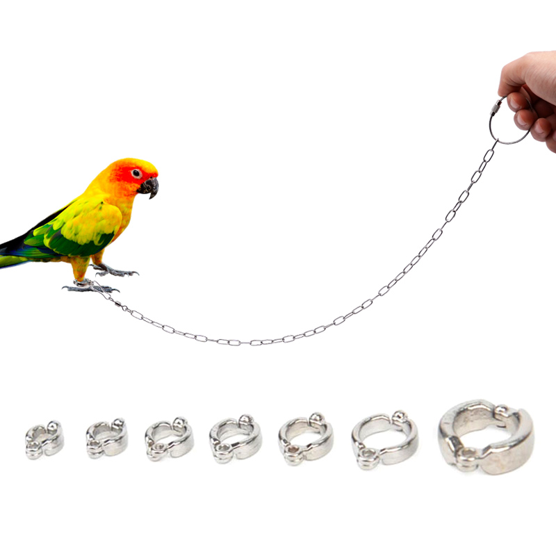 สแตนเลส Parrot ขาแหวนโซ่นกข้อเ - Anklet Foot Chain บทวิจารณ์และราคา