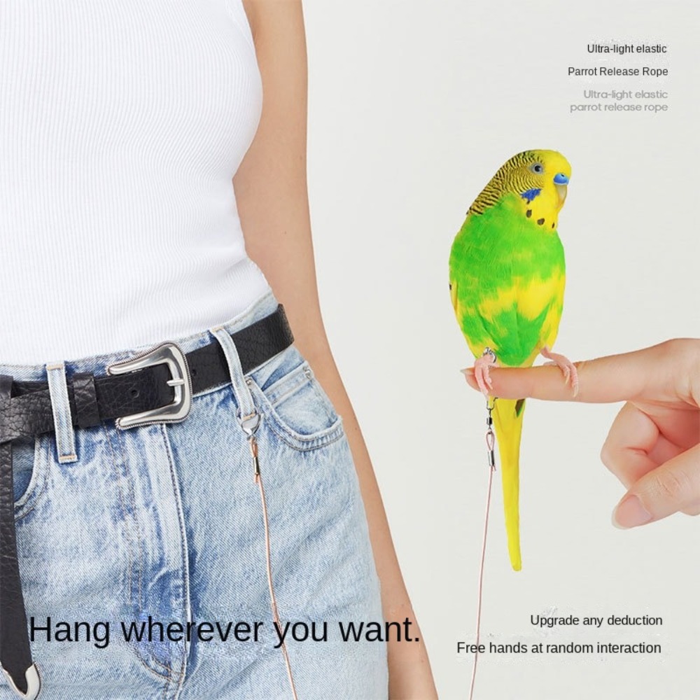 ยืดหยุ่น Parrot Traction เชือก - Anklet Foot Chain บทวิจารณ์และราคา